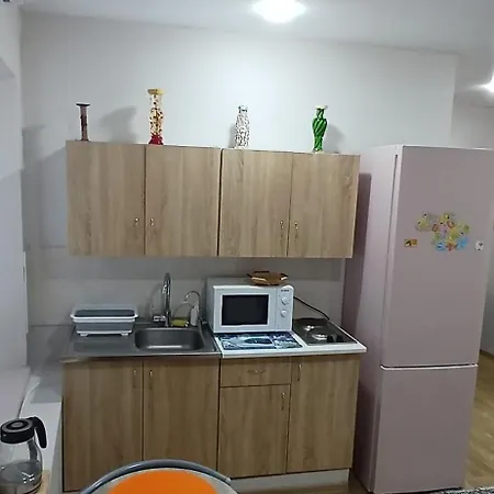 Apartment Vera в центре одессы рядом с дерибасовской Odessa