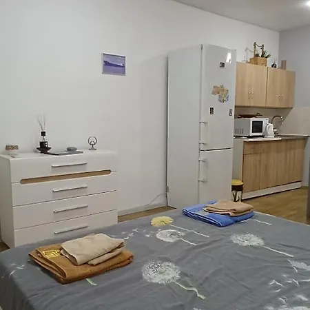 Vera в центре одессы рядом с дерибасовской Apartment Odesa