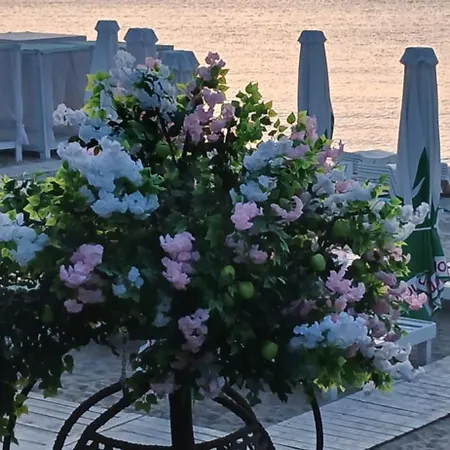 Vera в центре одессы рядом с дерибасовской * Odessa