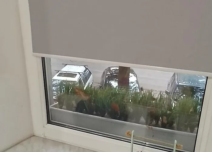 Vera в центре одессы рядом с дерибасовской Apartment Odesa