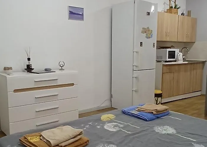 Vera в центре одессы рядом с дерибасовской Apartment Odesa