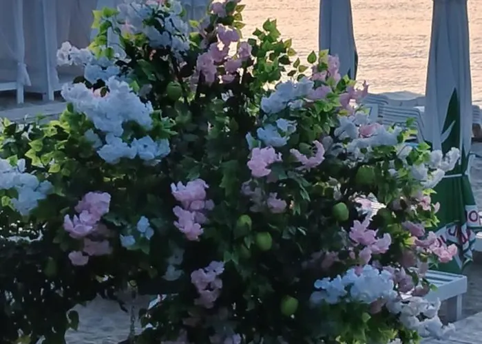 Vera в центре одессы рядом с дерибасовской * Odesa